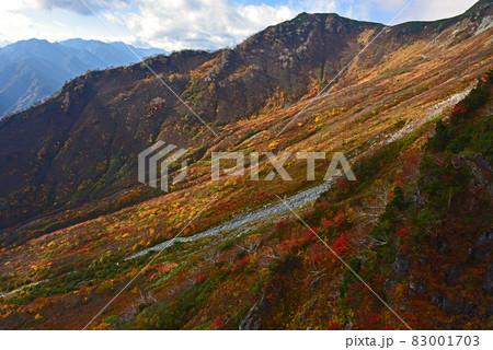 立山黒部アルペンルートの紅葉　 83001703