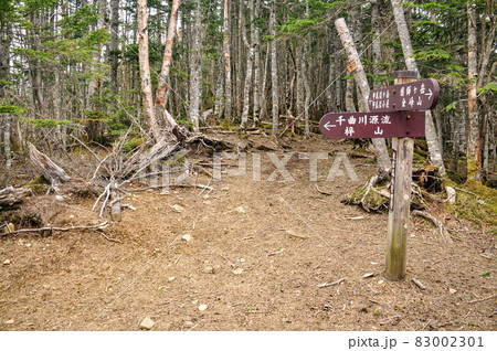秩父山地 千曲川源流分岐 83002301