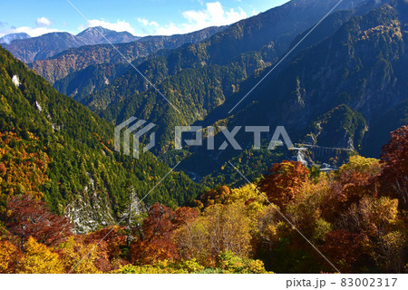 立山黒部アルペンルートの紅葉　 83002317