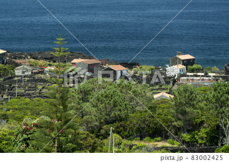Pico Island Azores vineyard wine grapes protected by lava stone aerial view Pico Island Azores vineyard wine grapes protected by lava stone aerial view 83002425