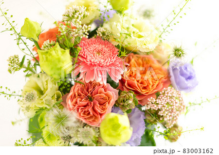 自然光でのガーベラや薔薇などのフラワーアレンジメント 自然光でのガーベラや薔薇などのフラワーアレンジメント 83003162