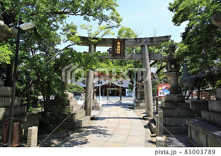 岸城神社(大阪府岸和田市) 岸城神社(大阪府岸和田市) 83003789