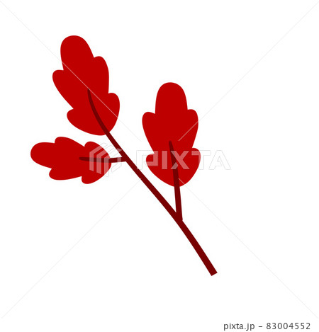 Branch with red leaves. Plant design. Element of wood and nature Branch with red leaves. Plant design. Element of wood and nature 83004552