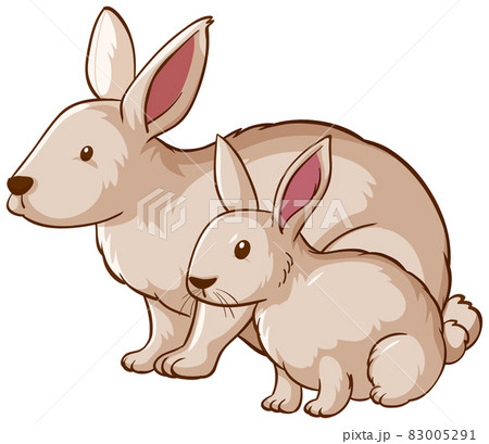 Mother and baby rabbit cartoon on white background 83005291