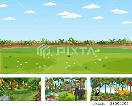 Different nature scenes of forest and rainforest with wild animals 83006205