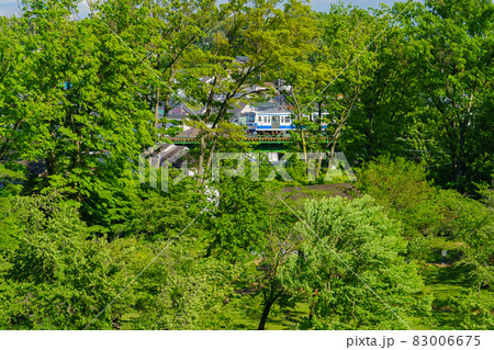 西武多摩湖線と新緑 83006675