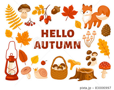 Autumn forest hand-drawn vector illustration. Wicker basket with mushroom, fallen leaves, fox, lantern, cute snail. 83006997