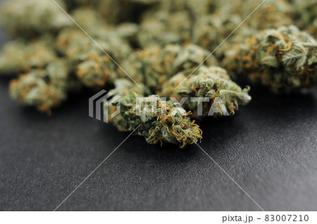 Marijuana cbd buds close-up. Medicinal cannabis blooms on black background. 83007210