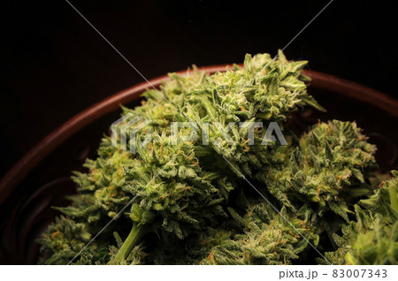 Marijuana buds in clay dish. Cannabis flowers on black background. 83007343