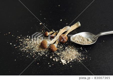 Microdosing concept. Dry psilocybin mushrooms on black background. Natural organic supplement. 83007365