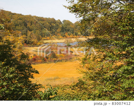 蒸ノ湯登山道 蒸ノ湯登山道 83007412