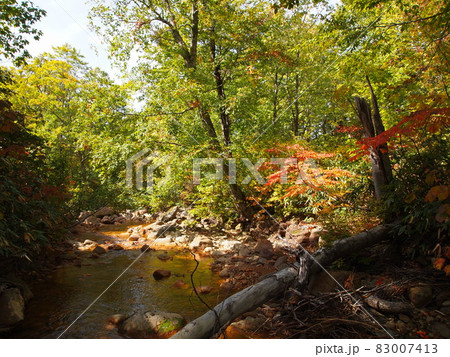 蒸ノ湯登山道 蒸ノ湯登山道 83007413