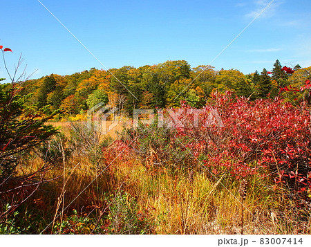 蒸ノ湯登山道 蒸ノ湯登山道 83007414