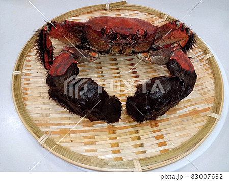 高級モクズガニ（ツガニ）の塩茹でを正面から 83007632