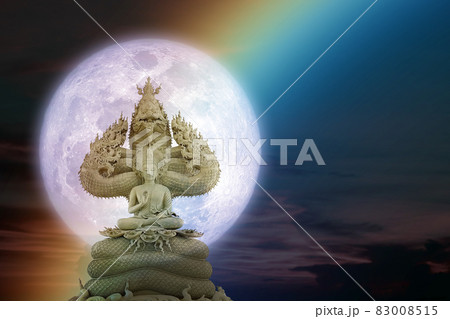 Buddha protected by hood of mythical king naga on night sky and moon Buddha protected by hood of mythical king naga on night sky and moon 83008515