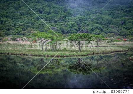 赤城山覚満淵の風景 83009774