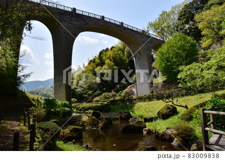 神奈川県立七沢森林公園 森のかけはしとあやめ池と新緑 神奈川県立七沢森林公園 森のかけはしとあやめ池と新緑 83009838