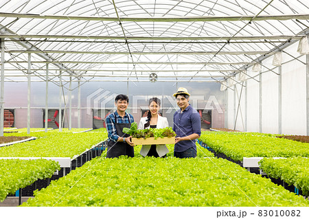 A guy and a woman farmer present on the farm with a smile and pride in their own start-up business in a hydroponic vegetable greenhouse with happiness and joy in the backdrop. A guy and a woman farmer present on the farm with a smile and pride in their own start-up business in a hydroponic vegetable greenhouse with happiness and joy in the backdrop. 83010082