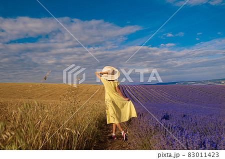 meeting of two worlds: a girl in a yellow dress between a wheat and lavender field meeting of two worlds: a girl in a yellow dress between a wheat and lavender field 83011423