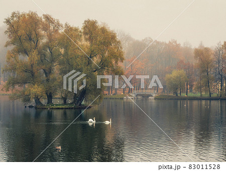 Mystical morning autumn landscape with fog over the lake. Foggy autumn landscape with State Museum Reserve Gatchina. 83011528