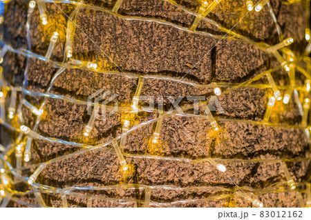 Decorative outdoor string lights hanging on tree in the garden at night time Decorative outdoor string lights hanging on tree in the garden at night time 83012162