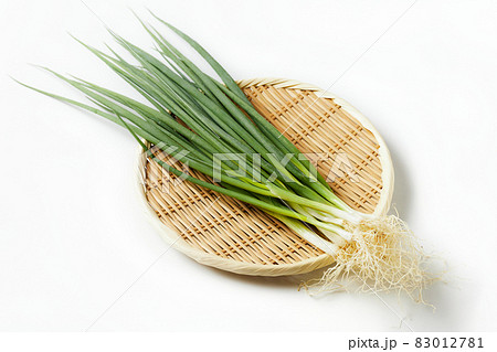 竹ざるに乗せた福岡県産小ねぎ 白バック 白背景 竹ざるに乗せた福岡県産小ねぎ 白バック 白背景 83012781