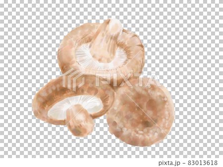 3 shiitake mushrooms 3 shiitake mushrooms 83013618