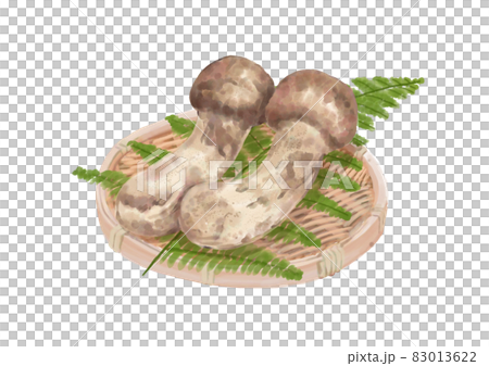 Matsutake mushrooms in a colander Matsutake mushrooms in a colander 83013622