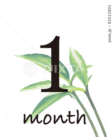 植物のマンスリーカード　1ヶ月 83013801