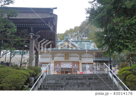 階段から見上げる神社(白山宮 愛知県日進市) 階段から見上げる神社(白山宮 愛知県日進市) 83014176