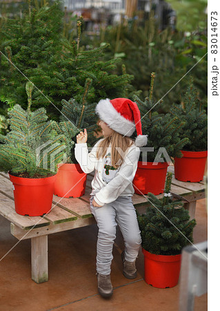 Small girl chooses a Christmas tree in the market. 83014673