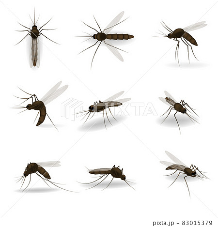 Realistic mosquito. Blood sucking insects, peddler of dengue, zika virus and malaria vector isolated mosquitoes set for repellent spray ad. A Massive Mosquito Problem. 83015379