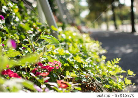 首都高速付近のの歩道/東京都 首都高速付近のの歩道/東京都 83015870