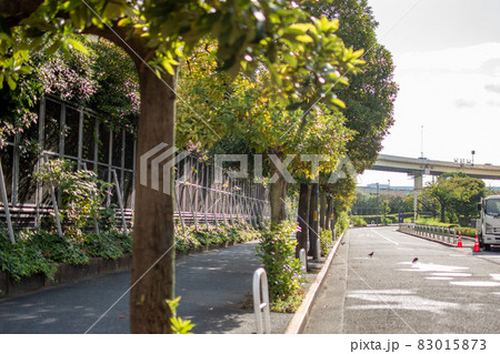 浜松町駅通路前歩道/東京都 浜松町駅通路前歩道/東京都 83015873