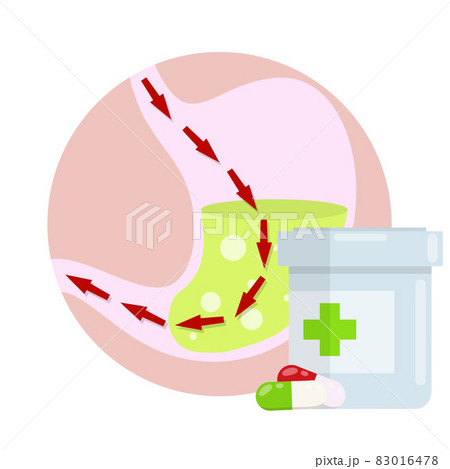 Human stomach. Internal organ of the body. Food and medicine Human stomach. Internal organ of the body. Food and medicine 83016478