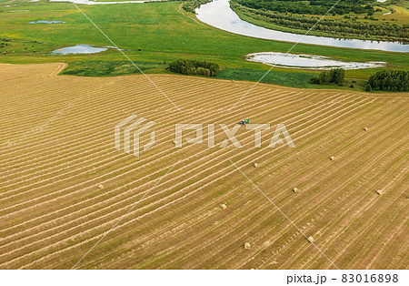 Aerial View Tractor Collects Dry Grass In Straw Bales In Wheat Field. Special Agricultural Equipment. Hay Bales, Hay Making. 83016898