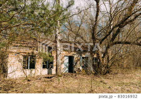 Abandoned Ruined Old Village House In Chernobyl Resettlement Zone. Belarus. Chornobyl Catastrophe Disasters. Dilapidated House In Belarusian Village. Whole Villages Must Be Disposed. Radioactivity 83016932