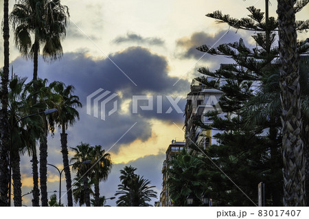 beautiful sunset with holiday apartments and tropical plants beautiful sunset with holiday apartments and tropical plants 83017407