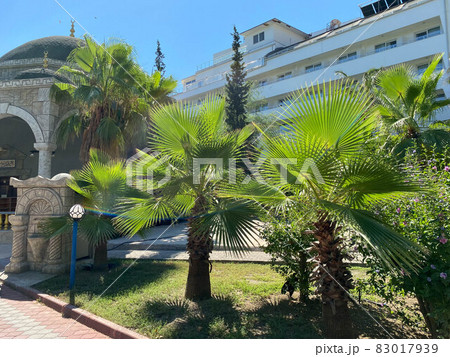 View of a beautiful ancient mosque in the Arabian style, a temple for prayers of Muslims in a tropical warm country with palm trees 83017939