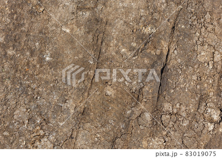 dry rammed bare earth surface under direct sunlight - full frame background and texture dry rammed bare earth surface under direct sunlight - full frame background and texture 83019075