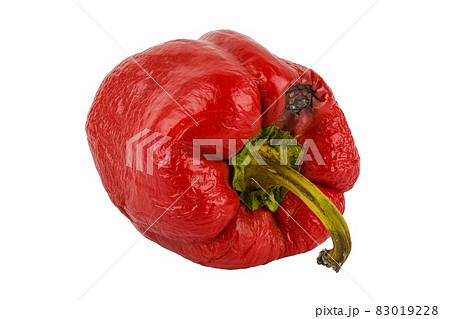 rotten red bell pepper isolated on white background rotten red bell pepper isolated on white background 83019228