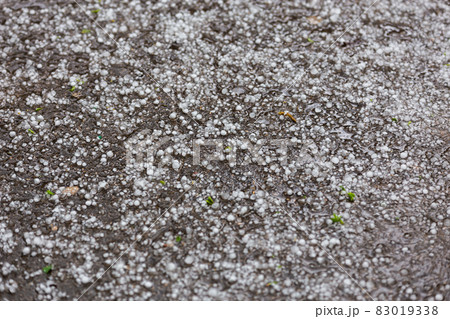 White ice hail on the asphalt road surface 83019338