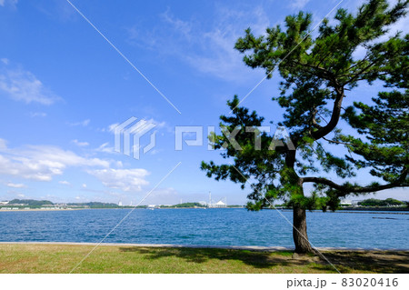 神奈川県横浜市の野島公園 83020416