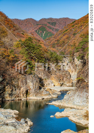 【栃木県】紅葉時期の龍王峡 【栃木県】紅葉時期の龍王峡 83020839