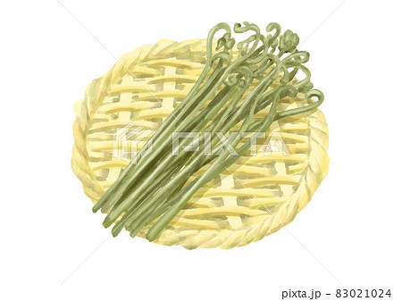 ざる盛りのワラビ 83021024