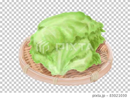 濾鍋裡的生菜 83021030