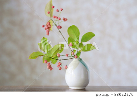 マユミの実の切り花 花瓶に挿したマユミ マユミの実の切り花 花瓶に挿したマユミ 83022276