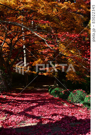 龍穏寺の紅葉 龍穏寺の紅葉 83022345