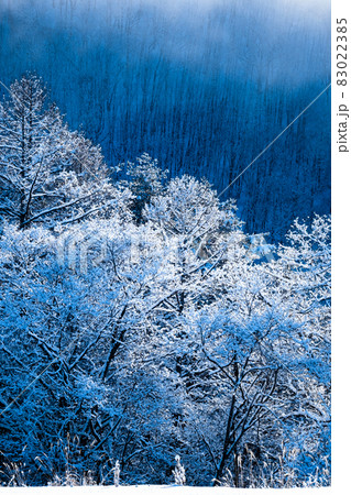 雪景色 雪景色 83022385