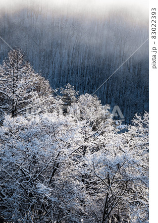 雪景色 雪景色 83022393
